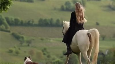 Thoracic Asymmetries and the Relationship with Saddle Fit