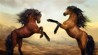 Grease Heel in Horses