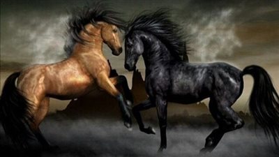 Treating Minor Horse Wounds