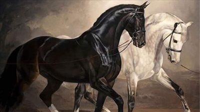 Quidding - When Your Horse Spits Out Wet Bundles of Hay