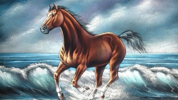 موقع أيام نيوز