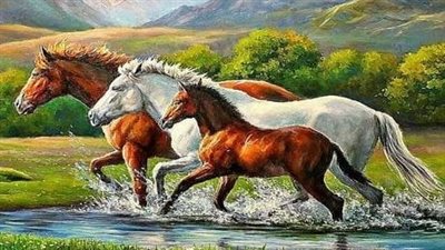 Moon Blindness in Horses
