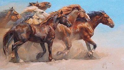Sunburn or Photosensitivity in Horses