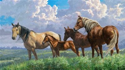 How to Stop Bucking in Horses
