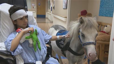 After a memorable visit from a kind horse, the ill man broke down in tears
