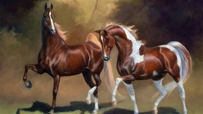 How Much Should You Ride an Older Horse?