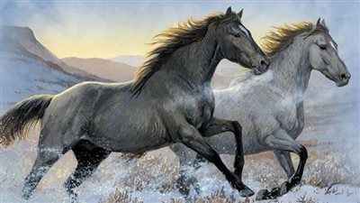 Safe Horse Handling