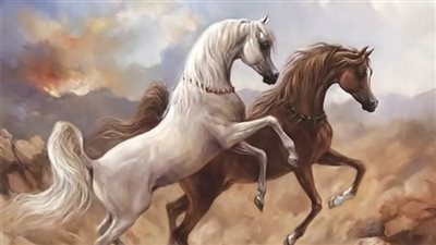 Horse Stall Design