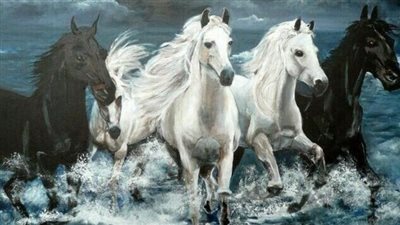 Wobblers Syndrome in Horses