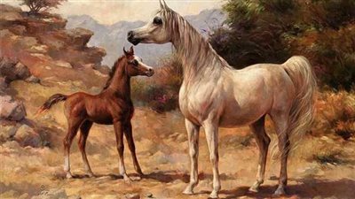 Equine Protozoal Myeloencephalitis (EPM) in Horses