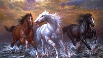 The 5 Types of Horse Feeds and Concentrates