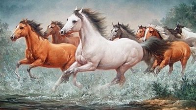 Vaccines for Your Horse