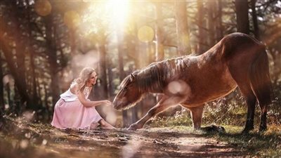 Saying Goodbye to a Beloved Horse