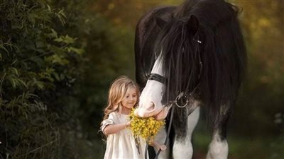 A Revolutionary Treatment for OCD in Horses