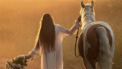 Old Maiden Mare