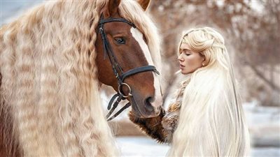 Buying My First Horse