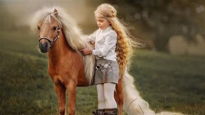 Choosing the Right Reining Horse