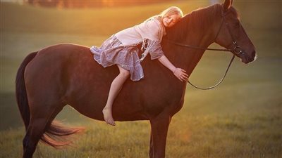 Sunlight Delivers the Vitamin D Message for Your Horse’s Health