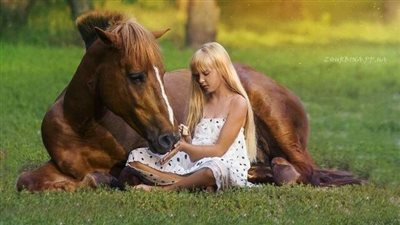 HorseWise: Getting Back on the Horse After a Fall
