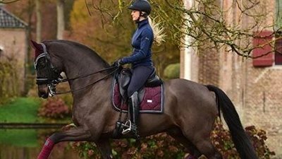 Lameness: Its Causes & Prevention