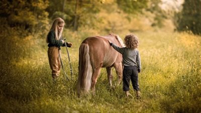 Keeping Horses Eating