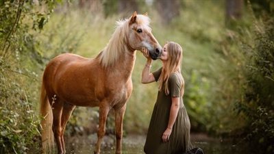 How to Catch the Horse that Doesn’t Want to be Caught - 3 Tips