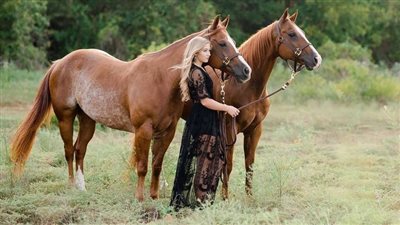 Added Fat Improves Horse Behaviour