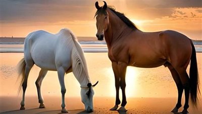 Social Stress Plays a Role in Equine Digestive Upset