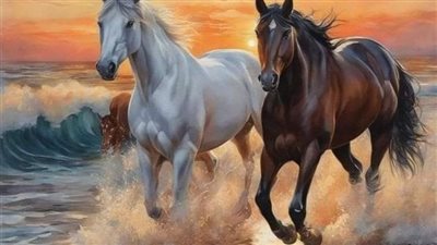 The Benefits of Lunging