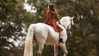 Tips for Keeping Horses During Extreme Winter Weather