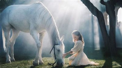 Balancing Your Horse’s Diet With Supplements