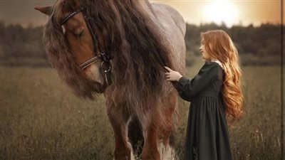 Focus and Fitness in Horses