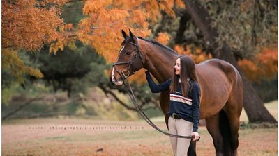 reasons why your horse spins on hacks and how to address them