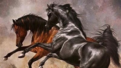Safe Horse Handling