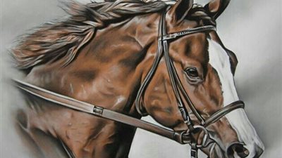 Horse Stable Manure Management