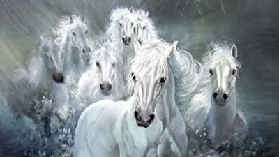 Pasture and Hay for Horses