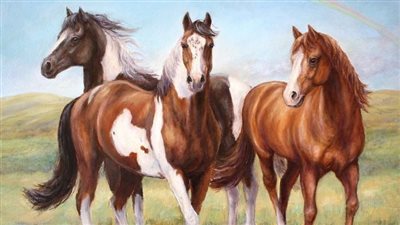 Spring Plants that are Poisonous to Horses, Dogs and Barn Cats