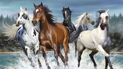 Whole-Farm Management Strategies for Equine Internal Parasites