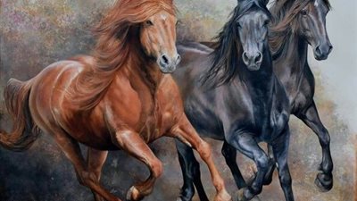 Being a Fit Rider Can Help Your Horse