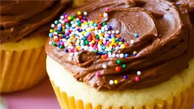 Yellow Cupcakes with Milk Chocolate Frosting