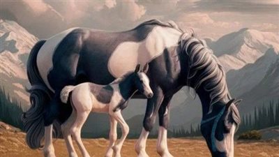 Horse Care Through the Seasons