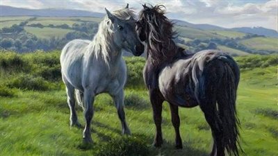 How to Tell a Horse's Age by Its Teeth