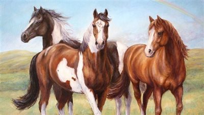8 Horse Feeding Mistakes to Avoid