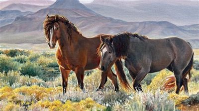 Anhidrosis in Horses