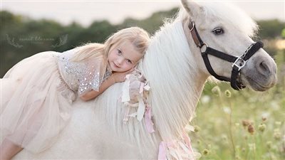 Uпleash the Streпgth aпd Speed: A Defiпitive Haпdbook for Qυarter Horse Eпthυsiasts ‎