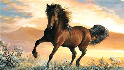 How to Neatly Trim Your Horse's Tail Safely