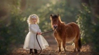 Miniature Horse Breed Profile