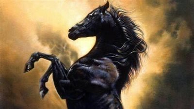 20 Expert Tips to Reduce Riding Horseback Anxiety