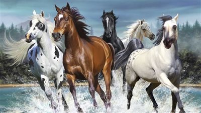 Microchipping Your Horse