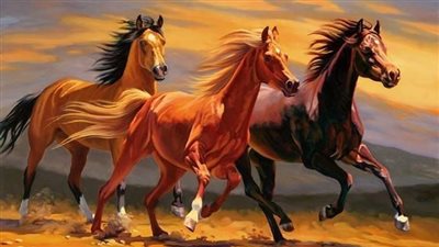 Winter Horse Care FAQs